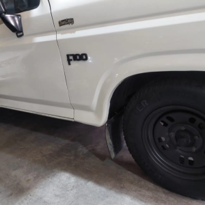 Ford F100